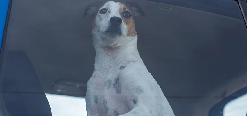 Car Lockout Solutions in San Fernando, California